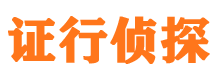 新青市私家侦探